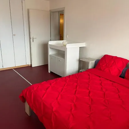 3,5 Pieces En Centre Ville Vevey